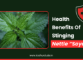 Health Benifits of Stinging Nettle “Soyee”