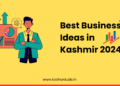 kashmir business ideas