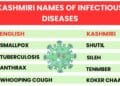 Blog post about kashmiri names of infectious diseases