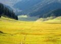 Bangus Valley Kupwara Kashmir